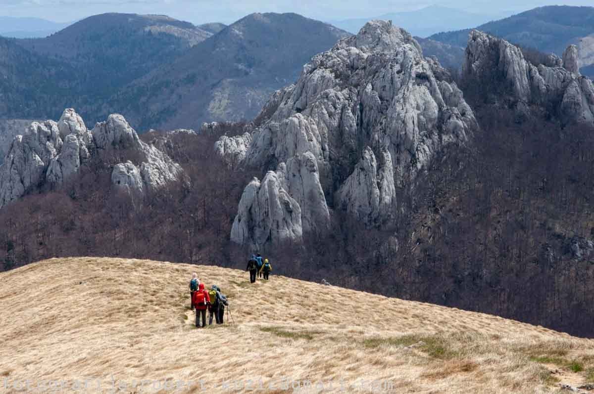 Krajolici i priroda 20